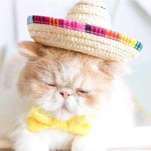 Fashion Pet Woven Straw Hat for Cat Sun Hat Sombrero for Small Dogs and Cats Beach Party Straw Costume Accessories to Act Cute