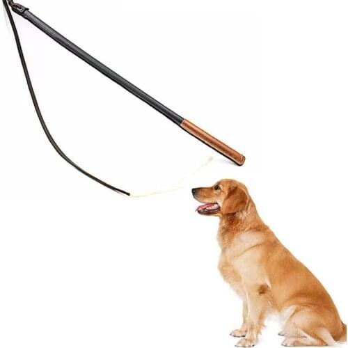 Dog Training Whip For Medium Large Dogs Schutzhund Leather ProtectPet Training Leashes Popular Dog Training Product