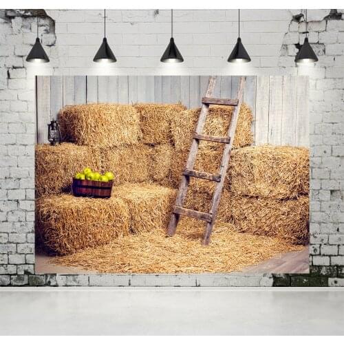VinylBDS Haystack Children Photo Backdrops Wooden Ladder Farm Warehouse Backdrop Newborn Backdrop for Photo Studio
