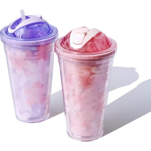 New 480ML Plastic Cup Water Bottle with Straw Double Convenient Cup Girl Creative Customized Sealed Leakproof Plastic Cups