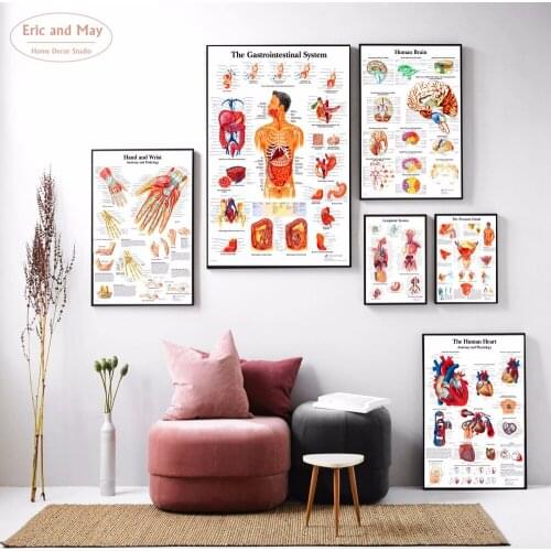 Human Body Anatomy Canvas Painting Wall Art Nordic Decoration Home Modern Poster For Living Room Unframed Print Pictures