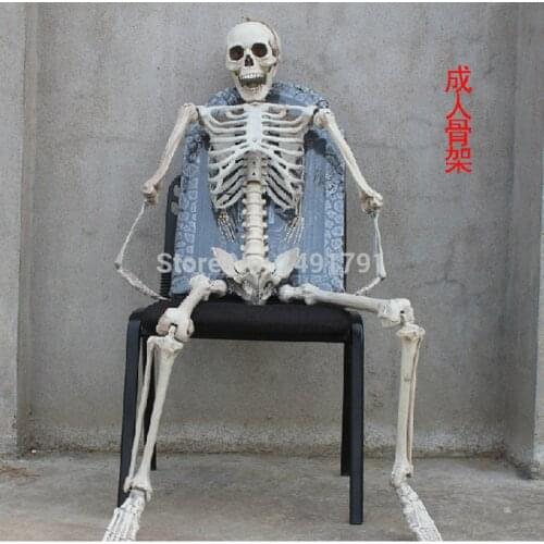 165cm Terror Halloween props haunted house Room Escape artificial human skeletons model frame tomb-raiding Adult skull bones