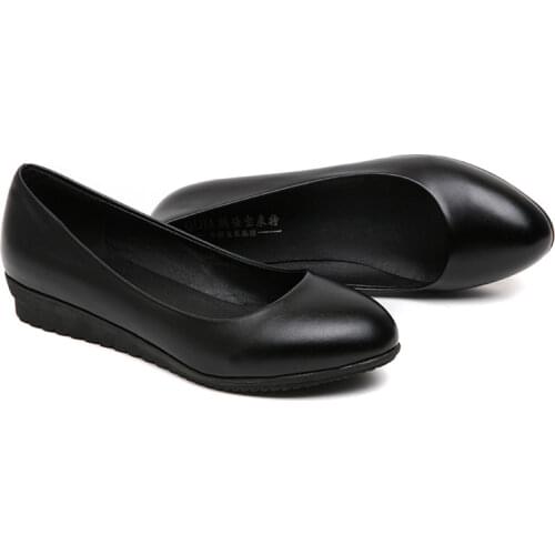 LUCYLEYTE Pet Supplies