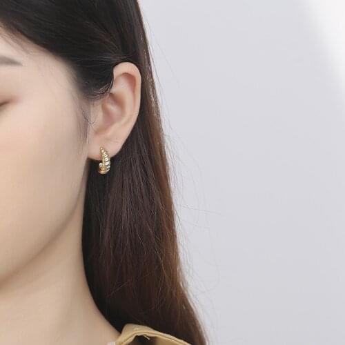 925 Sterling Silver Earring Fashion C-Shaped Leaf Ear Ring Coarse Bevel Gear Earring Personality Chic INS Style Girl Ear Jewelry