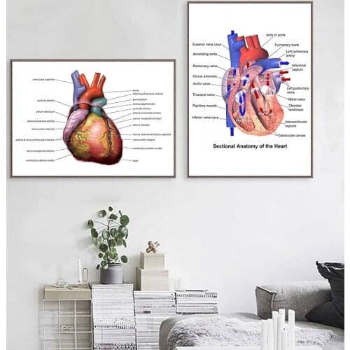 Abstract Heart Canvas Painting Poster Posters And Prtins Medical Anatomy Canvas Painting Medical Doctor Clinic Wall Pictures