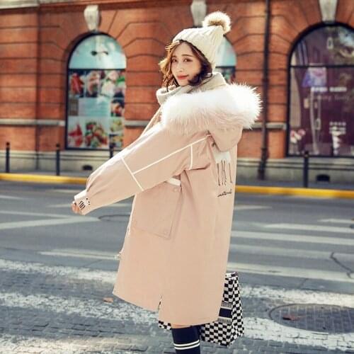 Winter Long 90% White Duck Down Coats Women Raccoon Fur Collar Down Parka Ladies Warm Down Jacket Coat Women Embroidery Overcoat