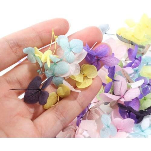 83XC DIY Nail Art Filler Popular Dry Eternal Flowers Beauty Nails Large Applique Decorative Jewelry Crafts Making Epoxy Filling