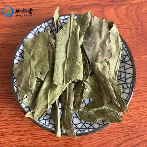 Tangerine Leaf Citrus Reticulata Blanco Ju Ye