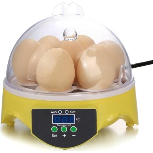 Mini Automatic Incubators Digital 7 Egg Poultry Hatcher Birds Temperature Control Expriment 2020 Kids Toys Dropship