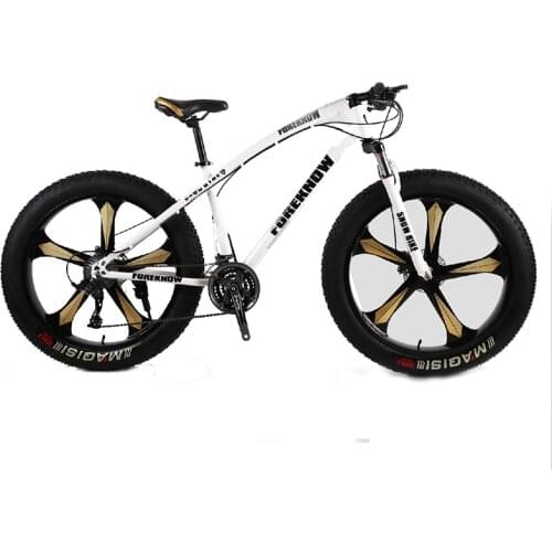 Variable speed off-road beach snow bike 26-inch adult extra wide large tire mountain bike male Five-blade integrated wheel