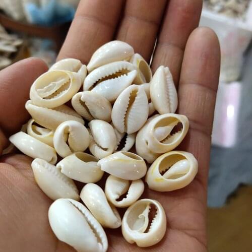 20pcs 18mm~20mm Natural Cowry Shell Loose Beads Pendants For Jewelry Making DIY Crafts