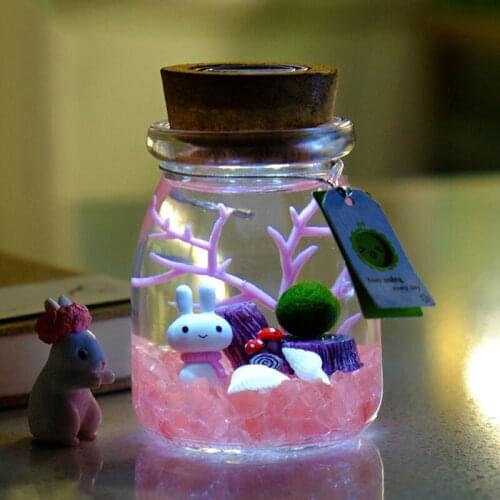 11 CM Round Glass Jar Terrarium with Colorful LED Light Cork Micro Landscape Ecological Bottle Night Lights