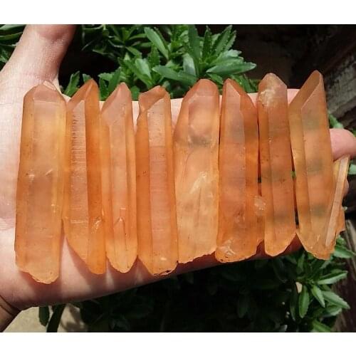 8pcs 218g Natural Lemurian Seed Quartz Crystal Point