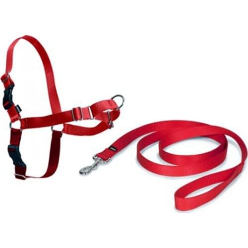 Шлейки Petsafe China At AliExpress