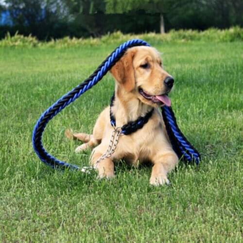 High Quality Nylon Upgraded Color Collar Stereotyped Rope Large Dog Leashes Pet Traction Rope Collar Set For Big Dogs