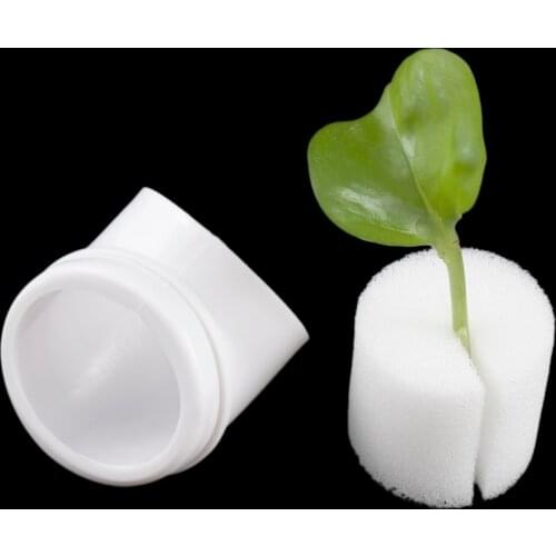 6 Pcs Column Pipe Fixed Plant Cup Hydroponic System Plants Vegetables Nurturing Seed Cultivation Soilless Culture Planting Cup
