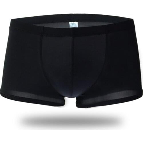 New Hot Sale Best Price Ice Ultra thin Summer Boxers Sexy Gay Short Transparent Underwear Men Body Sculpture Cool Panties Man