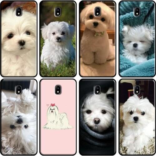 Maltese Dog Puppy Cute Case For Samsung Galaxy J7 J3 J5 2017 A3 A5 2016 J4 J6 A8 A6 Plus J2 Core J8 2018 Case