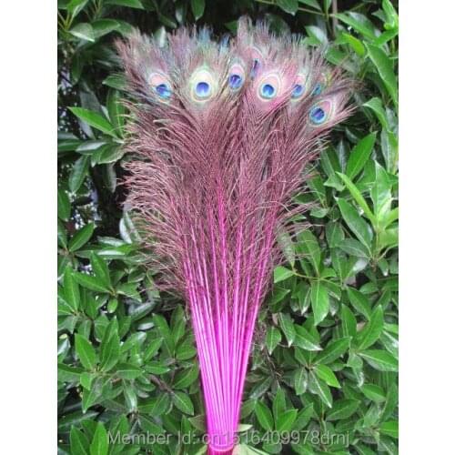Wholesale 50 / lot pretty rose peacock feathers 70-80 cm / 28-32 inch decorative stage costumes