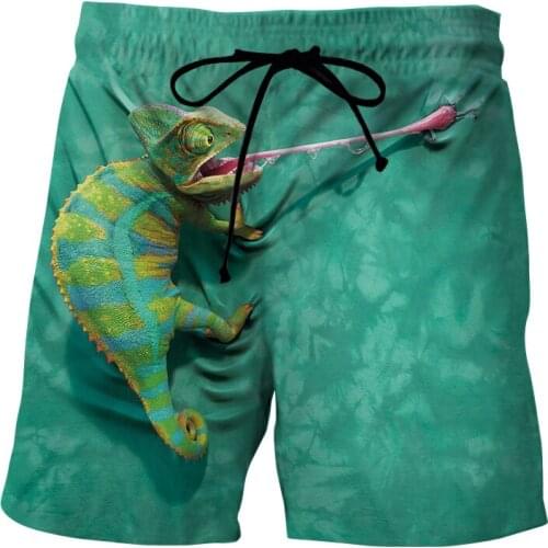 Hot Sale 2021 Summer 3D Print Mens lizard Cool Hip-Hop green Beach Shorts Quick-Drying Mens Surf Swimming trunks Shorts S-6XL