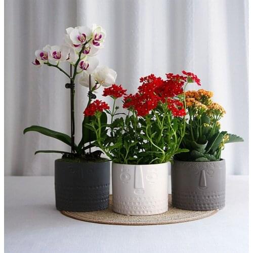Nordic ins ceramic human face flower pot succulent small potted family balcony garden cactus green plant bonsai home decoration