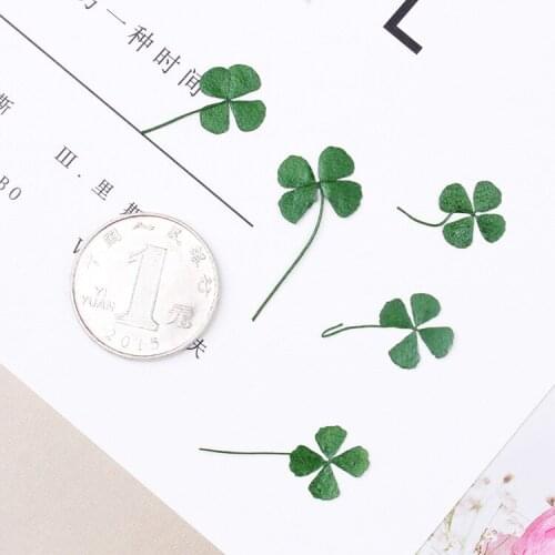 12pcs 1-1.5cm Press flower dried flower Four Leaf Clover natural Flower Stickers DIY Resin Jewelry Making