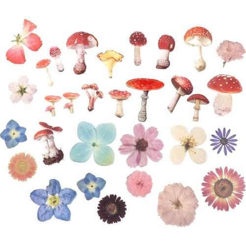 40Pcs/bag Plant Flower Mushroom Ginkgo Pet Deco Diary Stickers Scrapbooking Planner Decorative Stationery Stickers
