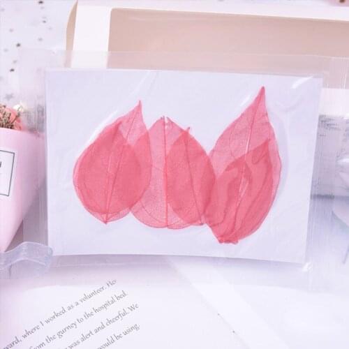 6pcs/bag King Kong Leaf Vein Dried Flower Real Flower Pressed Embossing Material DIY Hand-Drip Dried Flower Phone Case