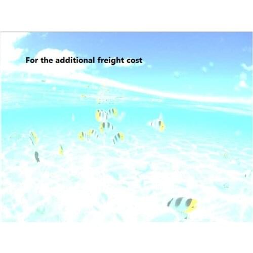 Extra Fee For Additional The Freight Cost