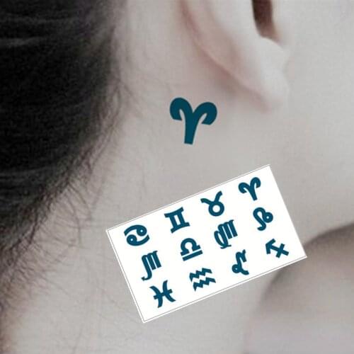 SHNAPIGN 25 Style Mini Temporary Tattoo Body Art, Pictograph Designs, Flash Tattoo Sticker Keep 3-5 days Waterproof 10.5*6cm