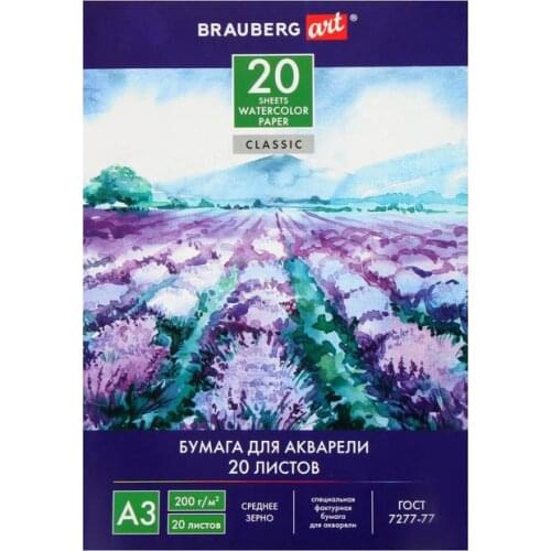 BRAUBERG Handicraft Storage Products