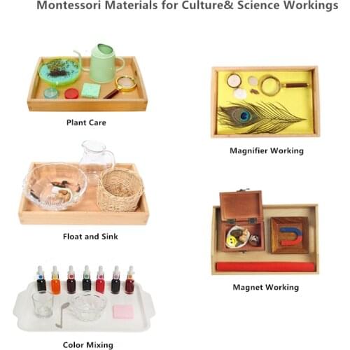 Montessori Culture & Science Materials for IC Plant Care/ Float and Sink/ Color Mixing/ Magnet Working /Magnifier Working