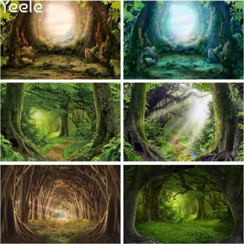 Vinyl Fairytale Wonderland Backdrops Mysterious Forest Prince Photography Personalized Photographic Background For Photo Studio