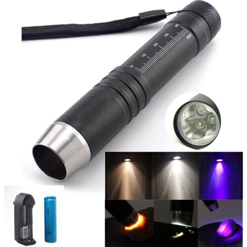 2 led Purple white UV Ultra violet flashlight Flash light Blacklight Zoom Torch Ultraviolet Lamp night light for Money Detection