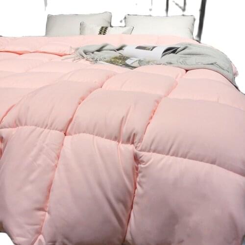 2021 Hot Sell Duvet with Thick Warm Goose Duck Down for Autumn and Winter Feather Quilts