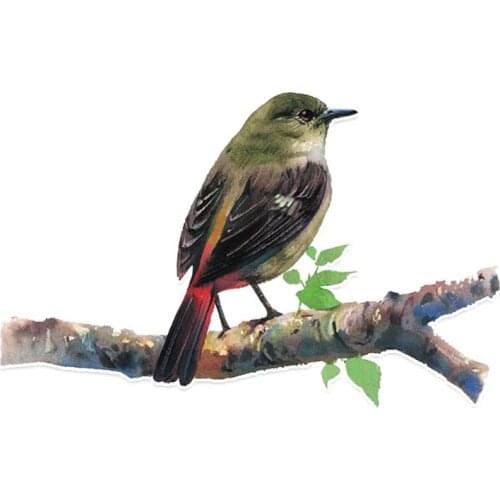 Personality Sell Personality Unique Birds Car Sticker Decal Accessories Vinyl PVC Motorcycle Waterproof Reflective Apply To Car