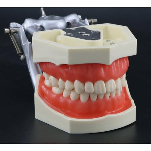 Dentalmall Dental Brushes