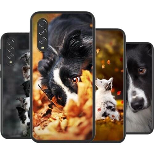 Border Collie Dog For Samsung Galaxy A90 A80 A70 A70S A60 A50 A40 A30 A30S A20S A20E A2Core A10 A10E A10S Phone Case