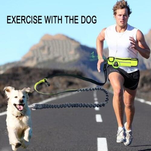 Pet Dog Traction Rope Multifunctional Belt Waist Bag Elasticity Adjustable Movement Running Dog Harness String Pet Accessories