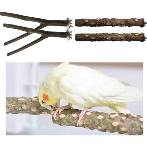 4Pack Wood Parrot Stand Tree Branch Toys Perch Climbing Grinding Standing