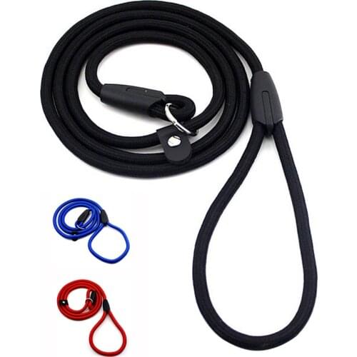 Sturdy Pet Collar Rope Nylon Dog Slip Training Walking Lead With P Chain 1cm