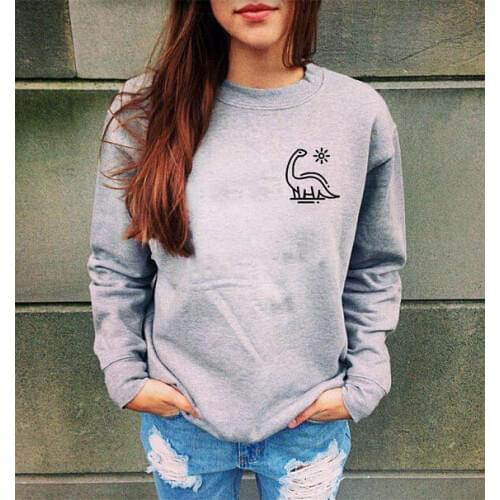 Dinosaur sweatshirt pocket cute sweatshirt teen gifts graphic dino T-rex funny sweatshirt Unisex jumper