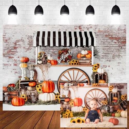 Vinyl Photography Backdrops Halloween Autumn Farm Pumpkin Backdrop Newborn Baby Photographic Background Photo Studio Backdrop