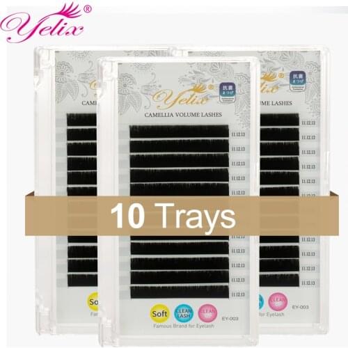 Imported Korea False Camellia Lashes Individual 3D-6D Blooming Eyelash Extension Highly Natural Volume Pandora Eyelashes Soft