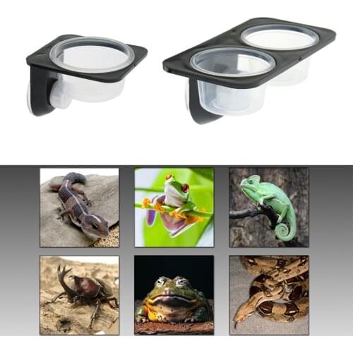 Reptile Anti-escape Feeding Water Dish & Food Bowl For Amphibians Lizard