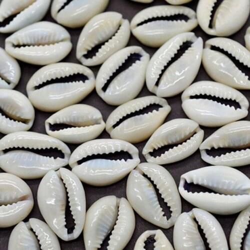 50pcs/lot 1.5-2cm Small Bulk Cut Beach Sea Natural Shell Conch Beads Cowry Cowrie Tribal Jewelery Crafts Accessories Holes DIY