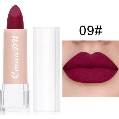 Velvet Matte Lipstick No-stick Cup Waterproof Sweat-proof Long Lasting Lip Pencil Nourishing Lip Makeup Pen Cosmetic TSLM1
