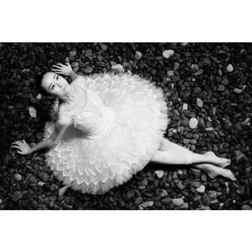 2016 Snow Queen Professional Ballet Tutus Ballet Pancake For Competition Ballet Dance Costumes 12 Layers Tulle Dress Tutu AT1213