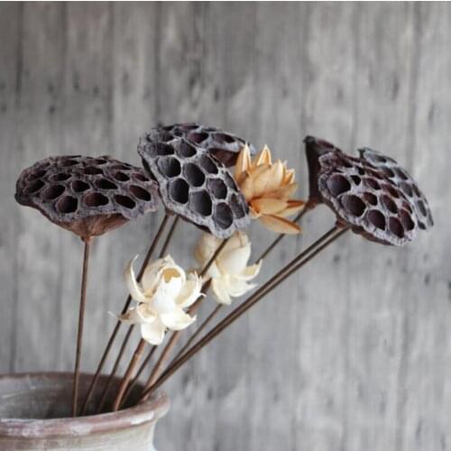 Lotus seedless natural dry lotus living room floor lotus dried flowers wholesale home decoration Buddha for shooting props