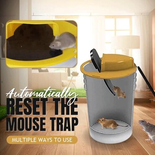Automatically reset the mouse trap Mousetrap Slope Mouse Trap Automatically Resets Rat trap